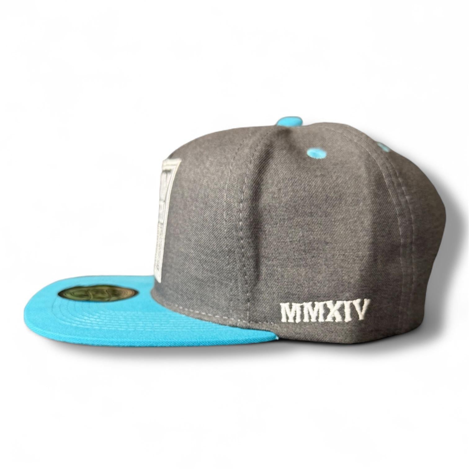 Snapback hat - Blessed Brand