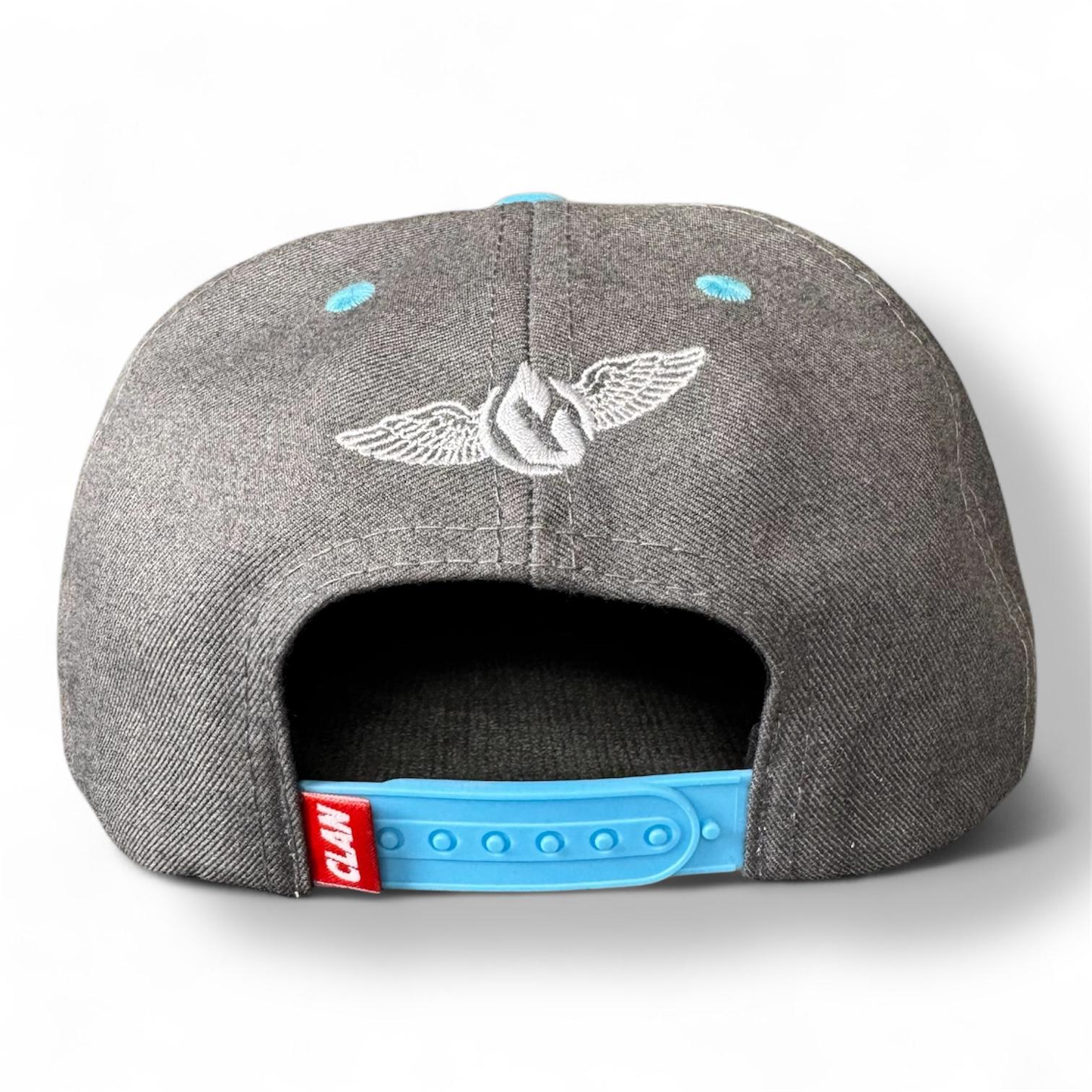 Snapback hat - Blessed Brand